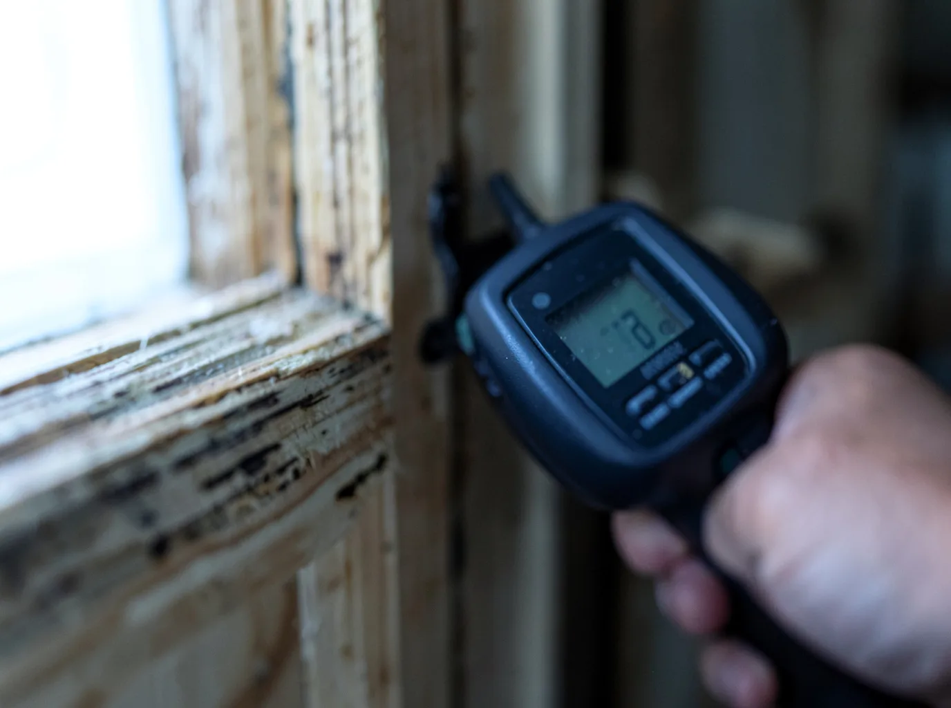 Water Damage Restoration Palms, MI FAQs
